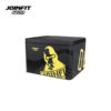 4 in 1 Plyo Boxes Set (4)